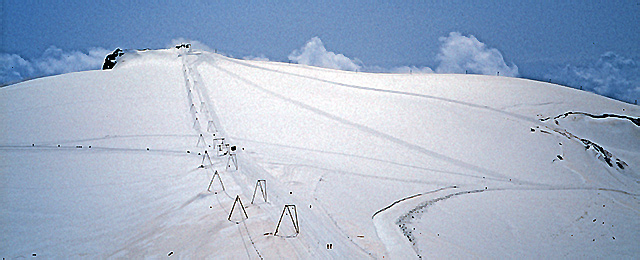 cultivated snow 