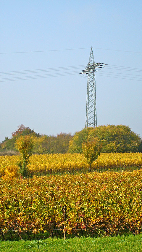 pylon_2